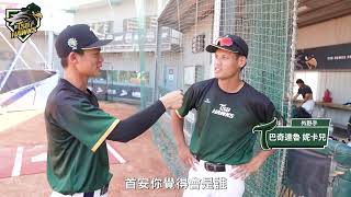 [閒聊] 群鷹五首