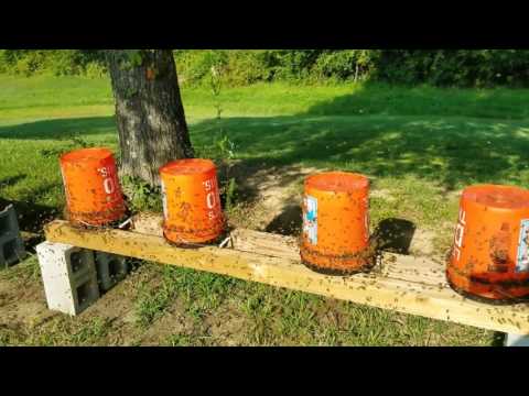 How is open feeding safe for your Honey Bees