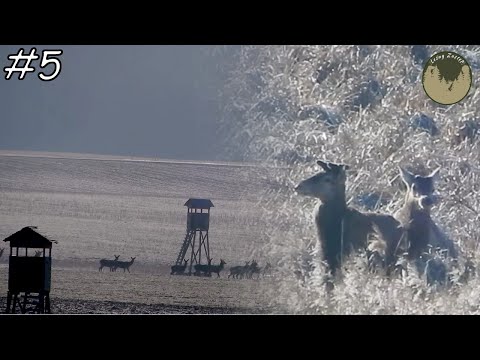 Leśny Zastęp odc. 5  O krok od zrzuta