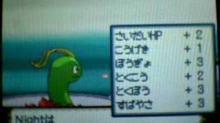 Breaktube & Doctorken2k Imported Pokemon Heart Gold ( Pryce )