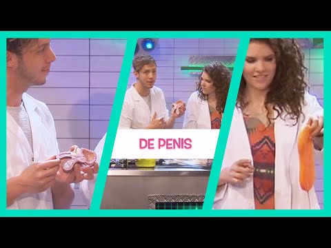 DE PENIS - TOPDOKS LABEXPERIMENT