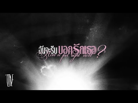 T!NE - "ฉันจะรีบบอกรักเธอ" (Lyric Video)