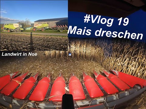 #Vlog 19 I Der Mais kommt ab  I Claas Lexion 570