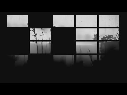 Mahler/Fondermann - Schattenvogel