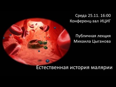 Михаил Цыганов «Естественная история малярии»