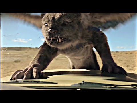 A boy finds a mythical creature and tries to save it | chupa movie recap | story recap