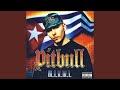 305 Anthem - Pitbull - Topic 305 Anthem