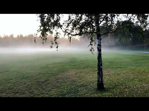 Rissne meadows (Rissneängarna), Sundbyberg