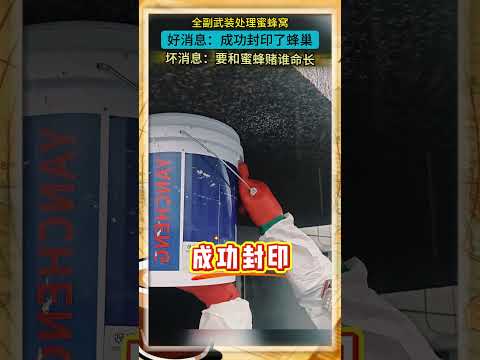 全副武装处理蜜蜂窝，好消息：成功封印了蜂巢，坏消息：要和蜜蜂赌谁命长#搞笑 #熱門 #反转剧情 #意想不到的结局 #funny