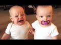 Twin Baby Girls Fight Over Pacifier Cutest Babies KYOOT
