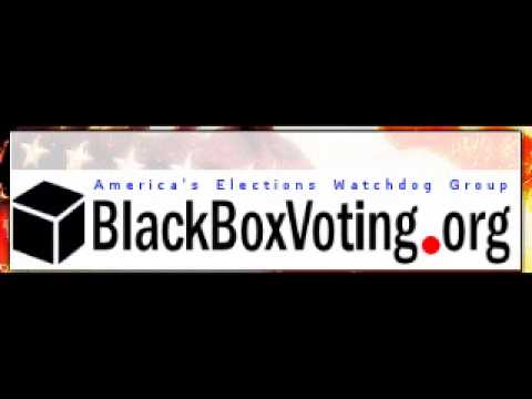 Bev Harris 11-11-13  Black Box Voting