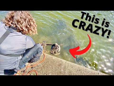 INSANE Magnet Fishing in Amsterdam (You Won't Believe What I Found!)