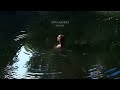 Anna Graves Burn On Official Audio