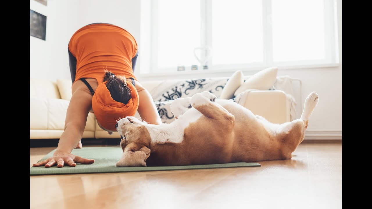 Online Yoga preview