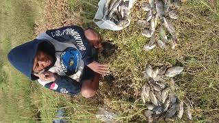 preview picture of video 'Hasil mancing ikan nila di waduk gajah mungkur wonogiri jawa tengah joooozz mantap'