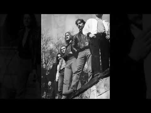 Cytrus - W cieniu życia (1982)