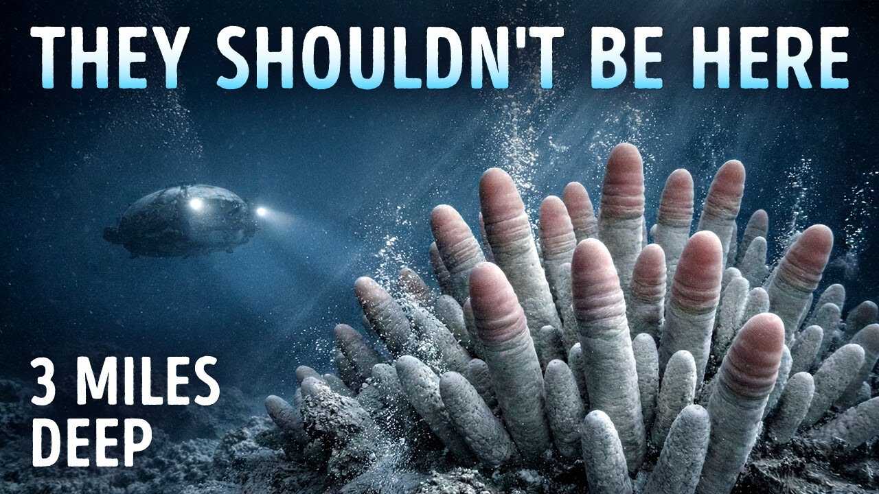 Scientists Found Something Strange in Deep Sea