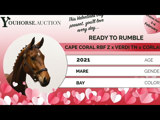 Ready to Rumble under the saddle