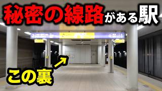阪神の駅なのに近鉄の線路？ 桜川駅の正体