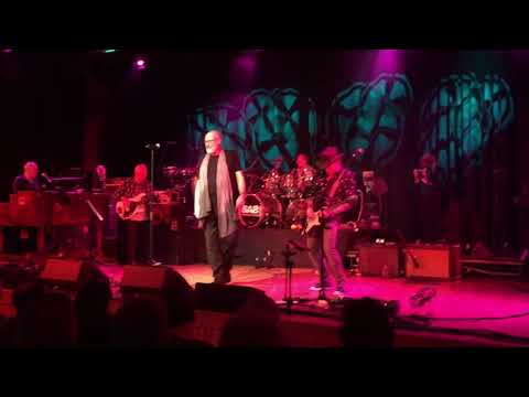 Fish - Kayleigh SAS Band Sturminster Newton 11th September 2017