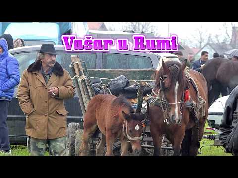 Rumski vašar  🦄 ponuda stoke na vašaru u Rumi