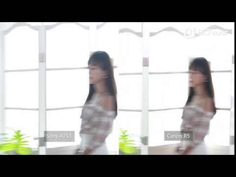Sony A7S III vs Canon EOS R5 - Jello Effect Test