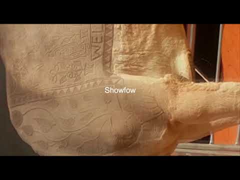 أستقدمه بمهنه راعي وتفاجأ انه حلاق من الدرجه الاولى وشراله مقص !!