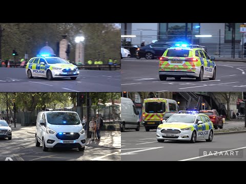 Metropolitan Police | Unmarked Dog Section Van | + Two Dog Section Marked Ford Mondeos Responding