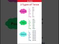 PRESENT PAST TENSE BASICTENSES SENTENCE EXAMPLES VERB FORMS