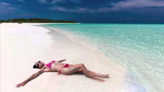 Viktor Newman   Shake That Ass