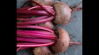 Beets 101-How to Freeze Beets