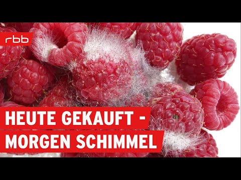 Auch Schimmelpilze lieben Himbeeren - schadet das der Gesundheit? | SUPER.MARKT