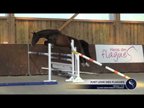 JUST LOVE DES FLAGUES