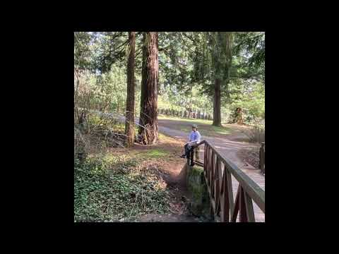 defsharp - Move differently (2024 Bluesky Teaser)