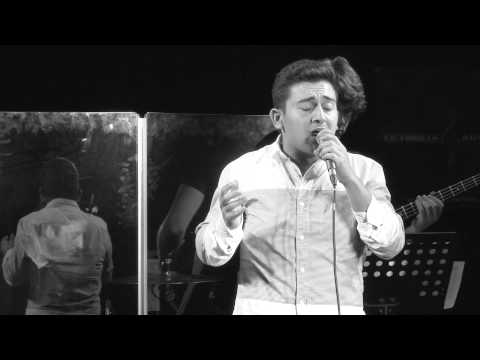 UA2014 - Norbert Bondin 'Say Something' (Cover)