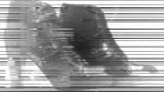 profondo rosso - scarpe da paura