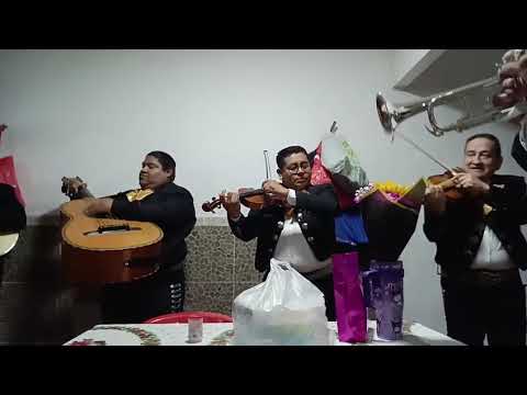 Miniatura de video de Mariachi Playense