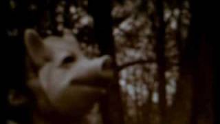 Boduf Songs - Two Across the Mouth