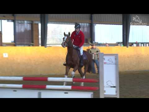 Cash v. Cashmoaker - Saccor