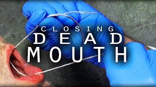 How To Properly Close a Dead Mouth