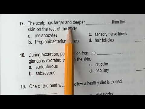 Chapter 7 Quizlet