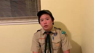 Boy Scout Hawks   SD 480p