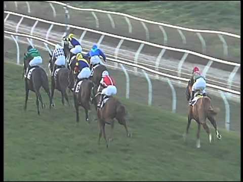 Galoppo 23/12/2015 - 3° corsa