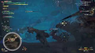 わいるず