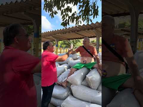 Barrigudo mais Monteiro da fazenda poço da pedra de miraima em Itapipoca Ceará é show papai