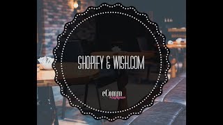 How to Connect the Wish.com Sales Channel to Shopify Store-Wish.com Sales Channel-Wish.com Tutorial