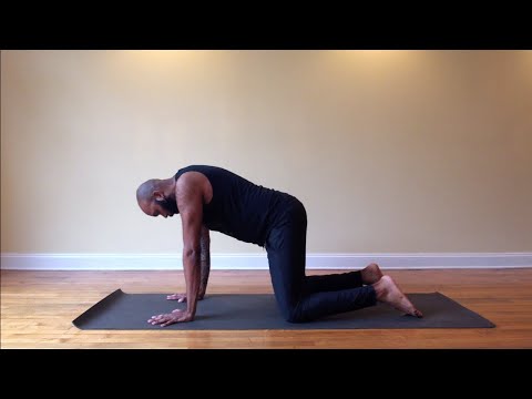 Balancing Flow with Acosia Red Elk