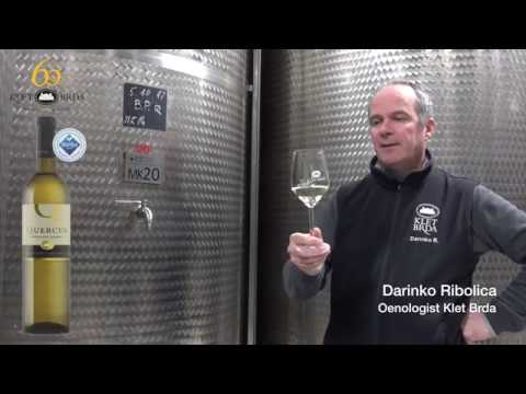 Pinot Blanc Quercus 2017