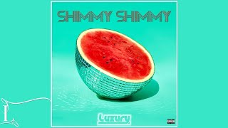 Shimmy Shimmy Music Video