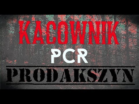 KACOWNIK - NEFRETETE (OFICJALWIDEO) [/PCR.PRODAKSZYN]